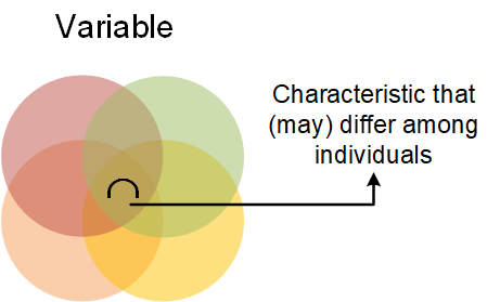definition of a variable